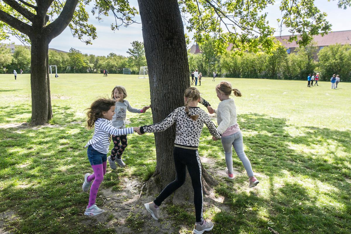 BFO - Fritidsordning